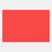 スイカインスパイアラップ紙座標 ラッピングペーパーシート (正面3)