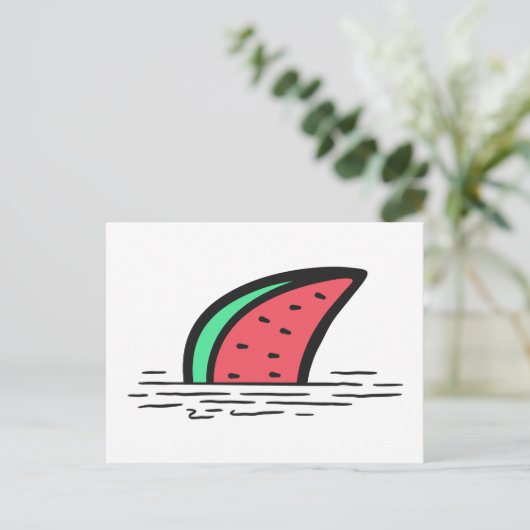 スイカザメ ポストカード (スタンド正面)