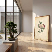 スイカズラの植物学的研究アートプリント ポスター