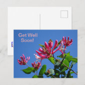 スイカズラの花の - 早く回復してね - ポストカード (正面/裏面)