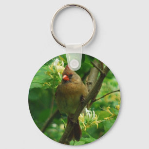 スイカズラのkeychainの(鳥)ショウジョウコウカンチョウ キーホルダー