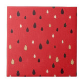 スイカパターン タイル (正面)