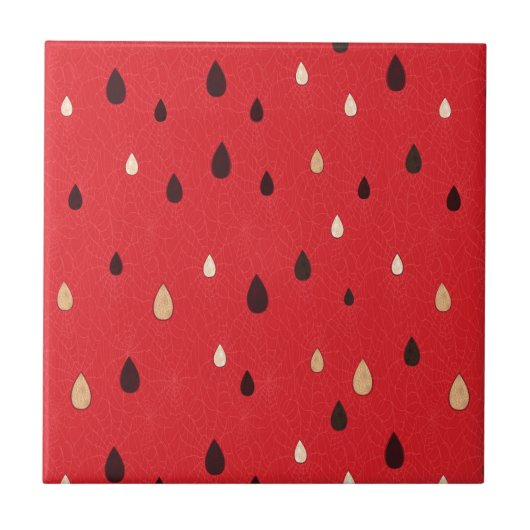 スイカパターン タイル (正面)