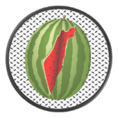 スイカパレスティナのマップスライス アイスホッケーパック (正面)