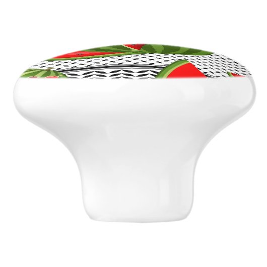 スイカパレスティナのマップスライス セラミックノブ (側面)