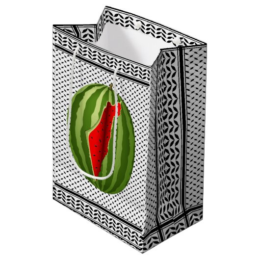 スイカパレスティナのマップスライス ミディアムペーパーバッグ (正面アングル)