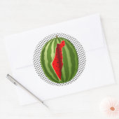 スイカパレスティナのマップスライス ラウンドシール (封筒)