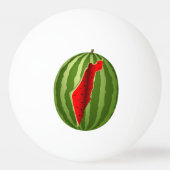 スイカパレスティナのマップスライス 卓球ボール (正面)