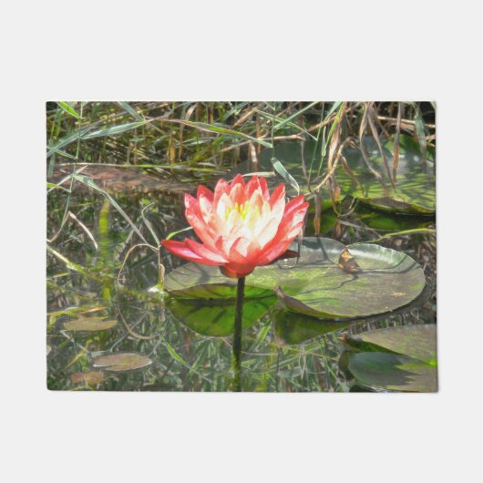 スイカユリ ドアマット (正面)