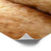 スイカルドレスのオードル ポスター (角)