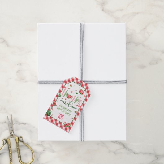 スイカ感謝していメッセージカード ギフトタグ (より糸付き)