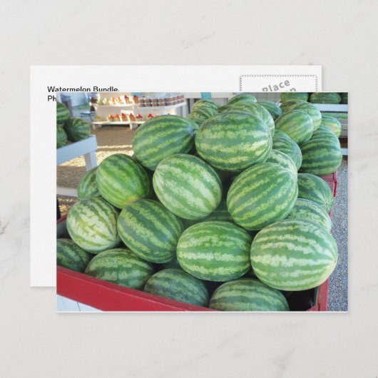 スイカ束 ポストカード (正面/裏面)