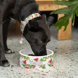 スイカ模様 |モノグラムボウル ボウル