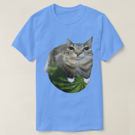 スイカ猫ミーム Tシャツ (デザイン正面)