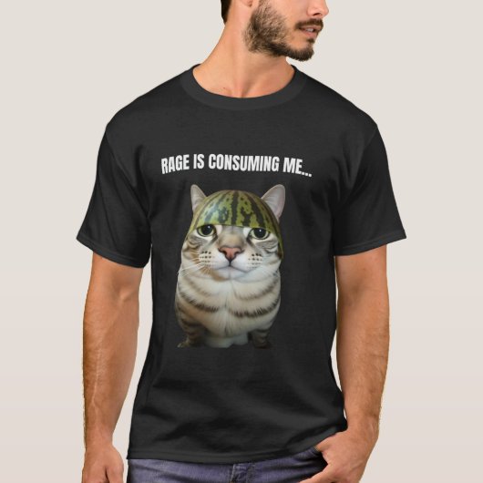 スイカ猫間抜けのミーム激怒が私を消費している Tシャツ (正面)