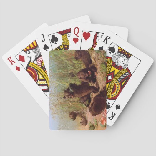 スイカ畑の熊（W.H.ひげ） トランプ (裏面)