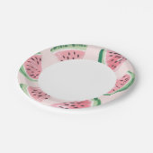 スイカ誕生日 ペーパープレート (アングル)