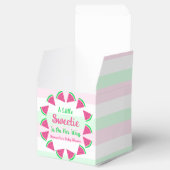 スイカ赤ちゃんシャワー フェイバーボックス (オープン)