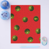 スイカ赤と種 チラシ (シングル)