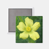 スイカ開花 マグネット (正面/裏面)