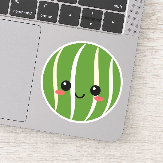 スイカ顔水瓶等のビニール貼りシール シール (詳細)