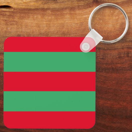 スイカ キーホルダー (裏面)