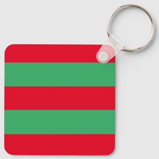 スイカ キーホルダー (裏面)