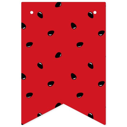 スイカ バンティングフラッグ (第2の旗)