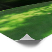 スイカ ポスター (角)