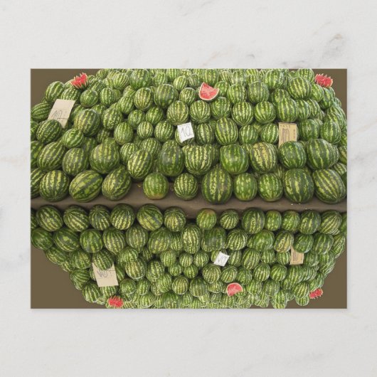 スイカ ポストカード (正面)