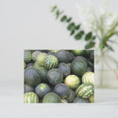 スイカ ポストカード (スタンド正面)