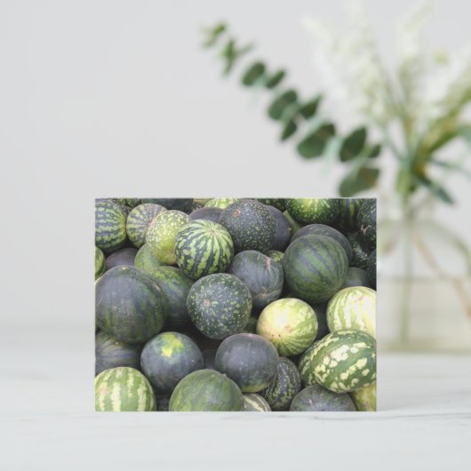 スイカ ポストカード (スタンド正面)