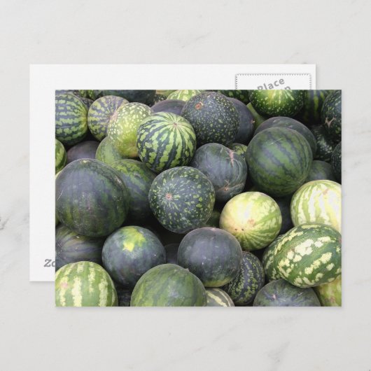 スイカ ポストカード (正面/裏面)
