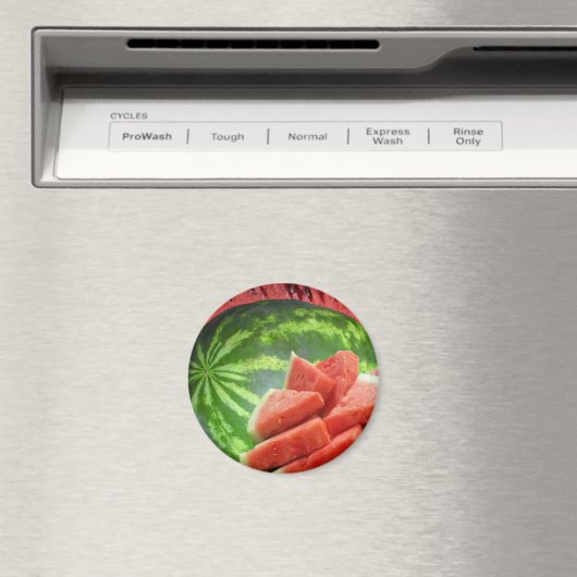 スイカ マグネット (インサイチュ (食洗機))