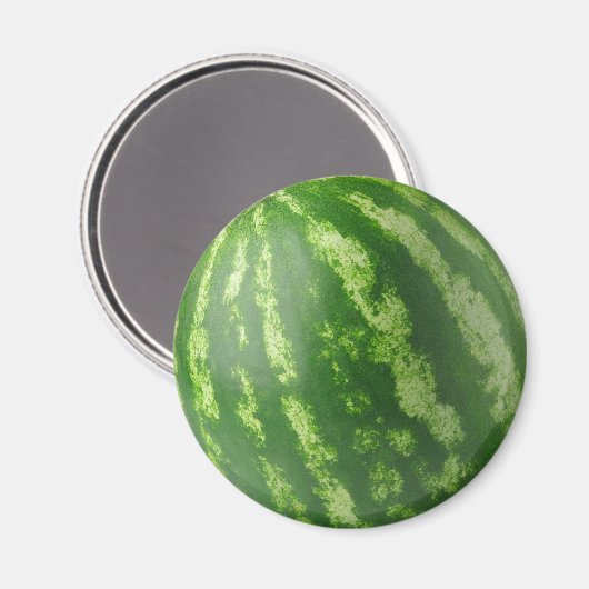 スイカ マグネット (正面/裏面)