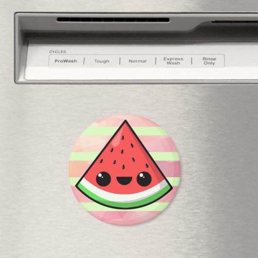 スイカ マグネット (インサイチュ (食洗機))
