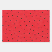 スイカ ラッピングペーパーシート (正面)