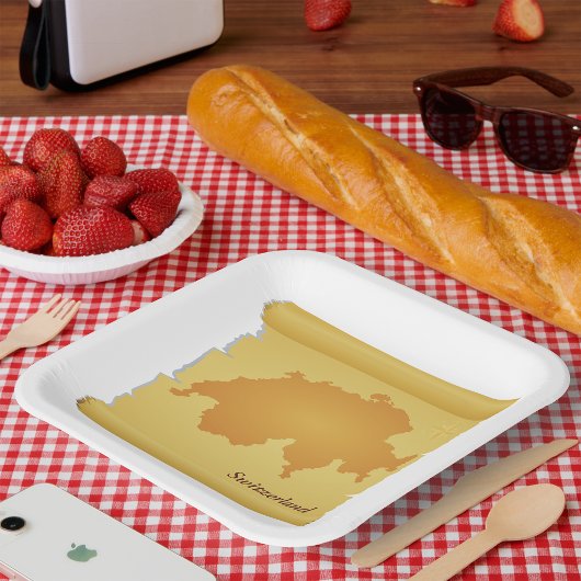 スイスが議会に出席している ペーパープレート