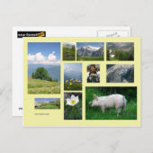 スイスのはがき ポストカード (正面/裏面)