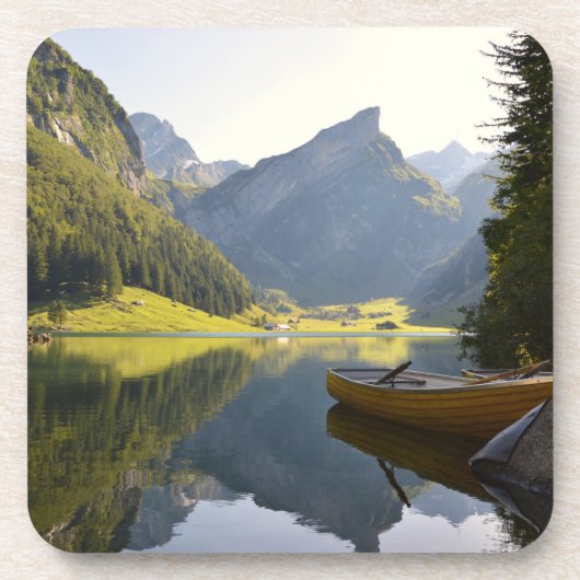 スイスのアルパインマウンテンレイク コースター (正面)