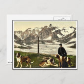 スイスのアルプスのバレ、セント・ベルナール・ドッグ ポストカード (正面/裏面)