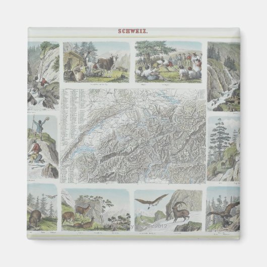 スイスのアルプスの地図と活力 マグネット (正面)