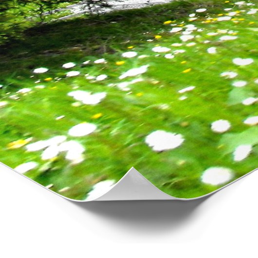 スイスのアルプスの夏 ポスター (角)