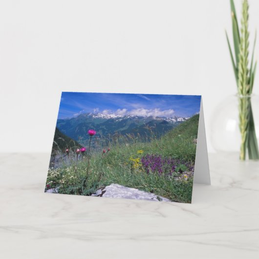 スイスのアルプスカード カード (正面)