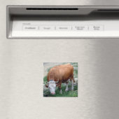 スイスのアルプス牛の磁石 マグネット (インサイチュ (食洗機))