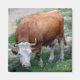 スイスのアルプス牛の磁石 マグネット