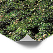 スイスのアルプス ポスター (角)