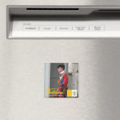 スイスのガードバチカン市の磁クール石デザイン マグネット (インサイチュ (食洗機))