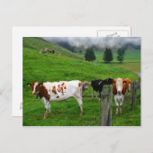 スイスのクースナヒト近くで草を食べているスイスの牛 ポストカード (正面/裏面)