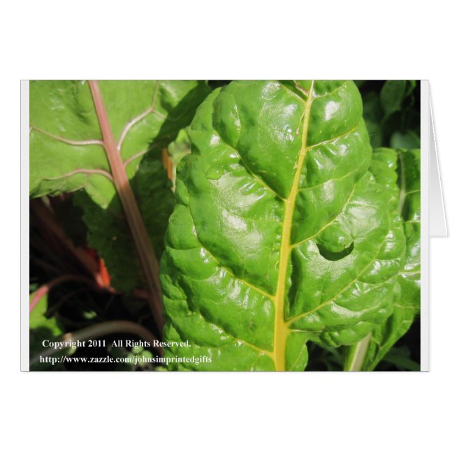 スイスのシャルド (正面横)